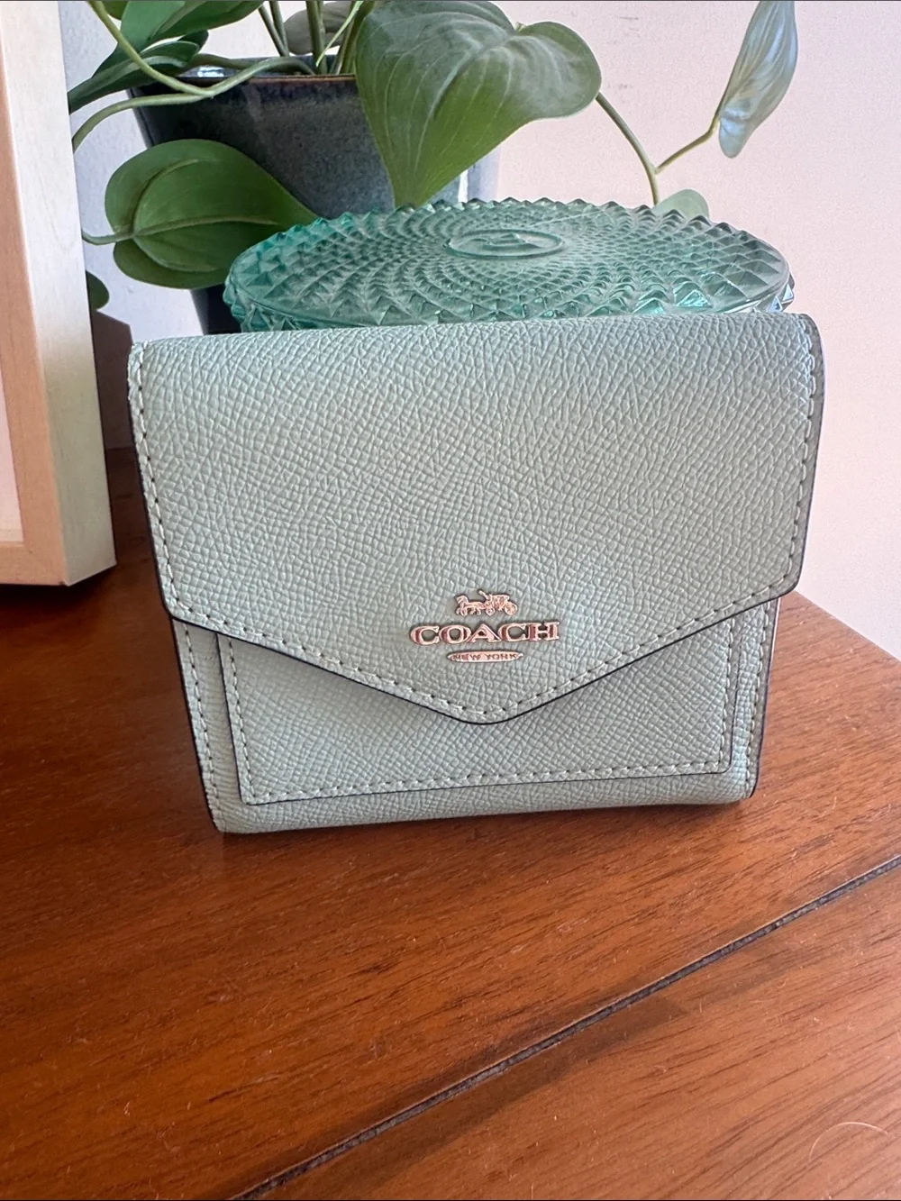 COACH Pebble Leather Envelope Wallet - Mint